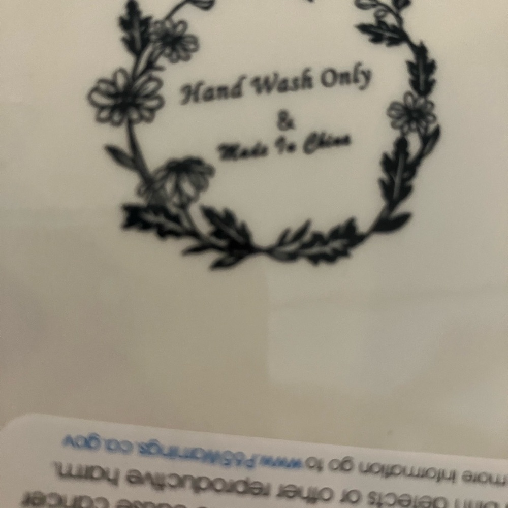 Maxcera Toile Green White Bunny Rabbit 9 1/4" Luncheon Salad Plates Set of 4 New - Picture 5 of 5